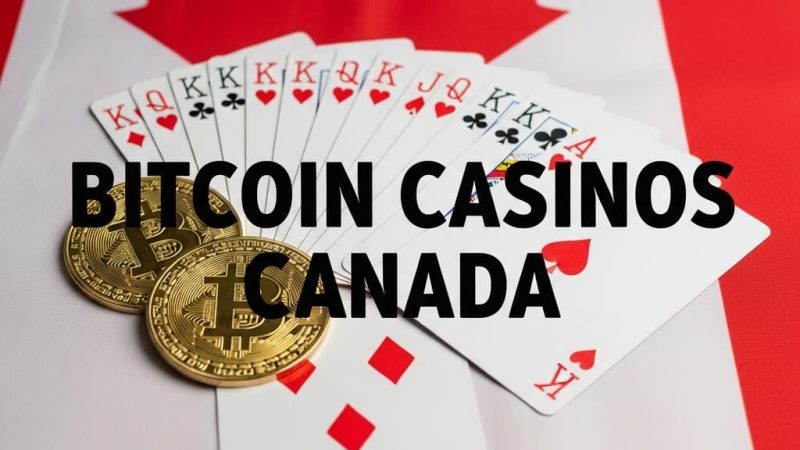 Leading Crypto Betting Casino with Daily Rewards in Canada An Overview