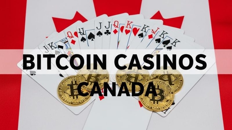 Real Money Ethereum Casino with Bonus in Canada: A Comprehensive Guide