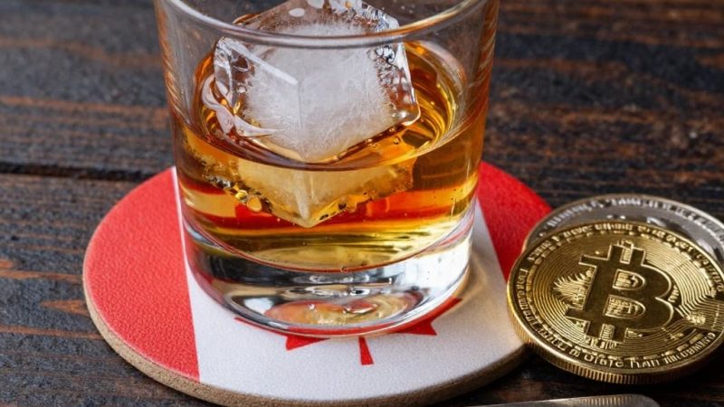 Low Fees Crypto Casinos for High Rollers in Canada