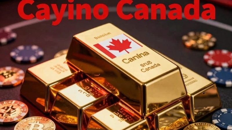 New Blockchain Crypto Casinos with Instant Deposits in Canada