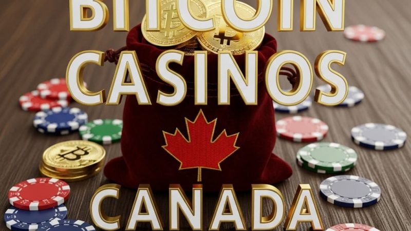 Welcome to the future of casino entertainment—where low‑fee crypto slots meet immersive live gaming‚ all tailored for Canadian players